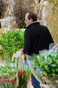 MIN RUNGIS-Fleurs-63